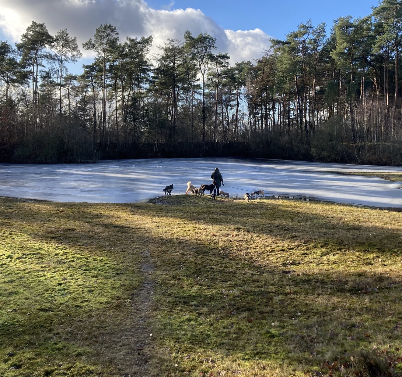 Magda führt eine Dogwalking-Gruppe an einem zugefrorenen See