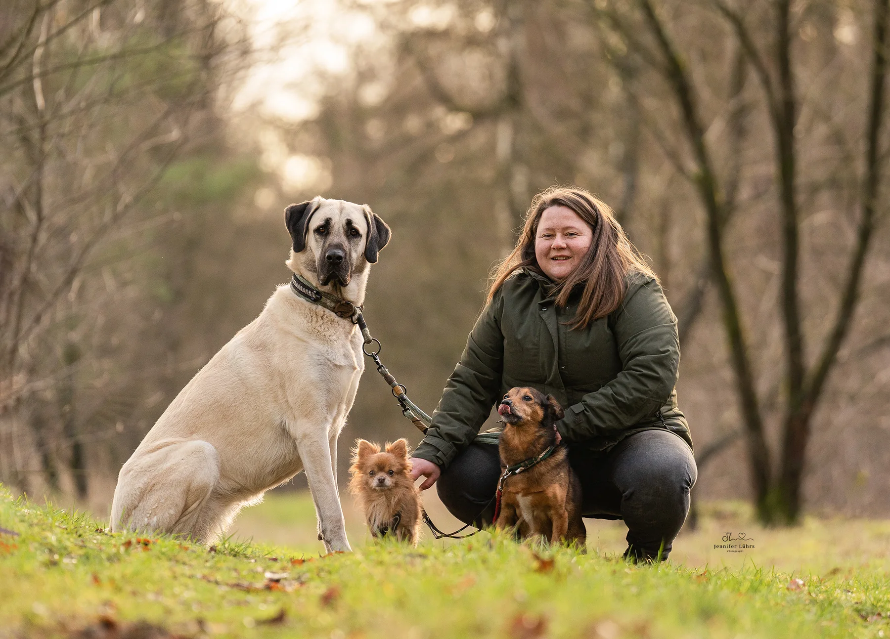Magda Popiela von Grafschafter Moorhunde mit mehreren Hunden im Wald