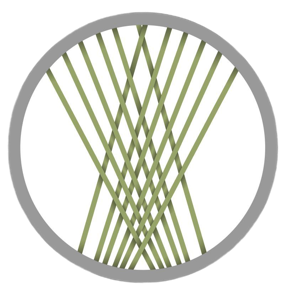 Grafschafter Moorhunde Dogwalking Hundebetreuung Hundeschule Hundetraining Gassiservice Hundetagesbetreuung